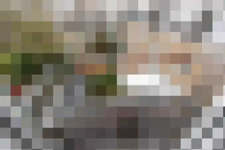 Emmastraat 4 4 Arnhem thumbnail 33