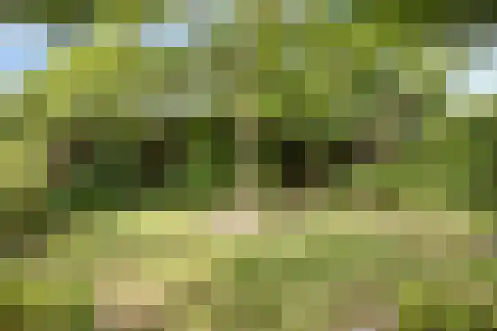 Emmastraat 4 Beek thumbnail 11