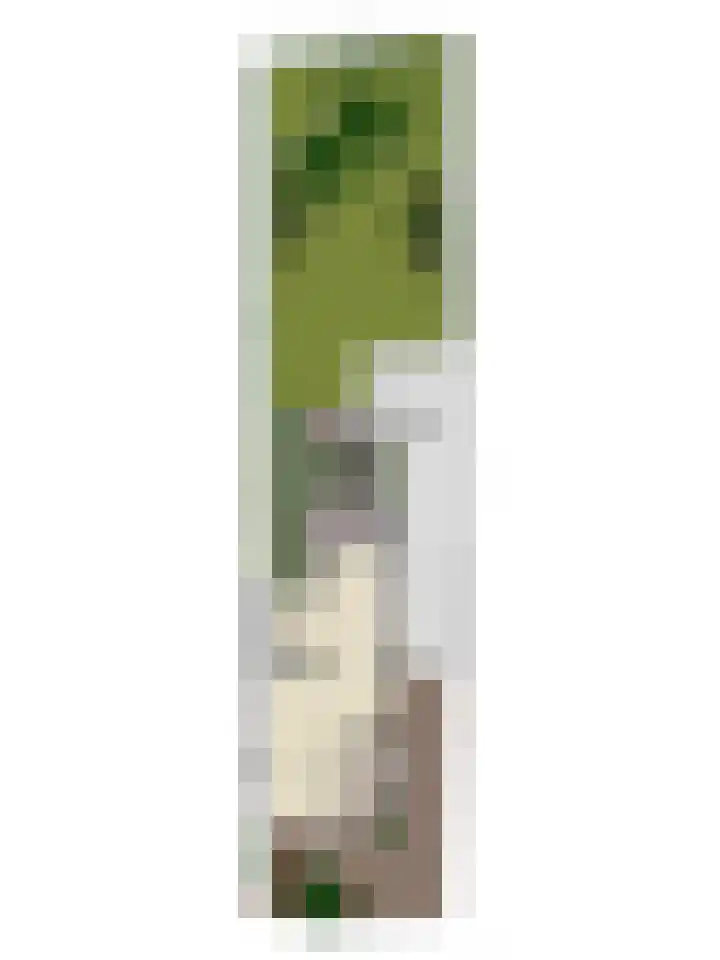 Emmastraat 4 Beek thumbnail 31
