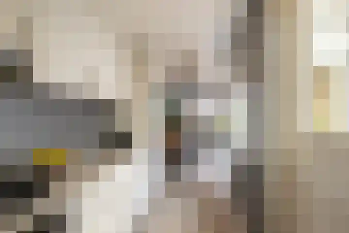 Emmastraat 4 De Lier thumbnail 10