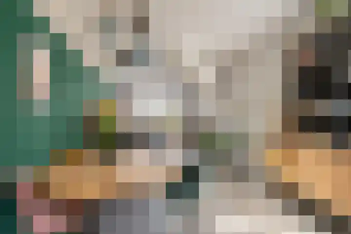 Emmastraat 4 De Lier thumbnail 4