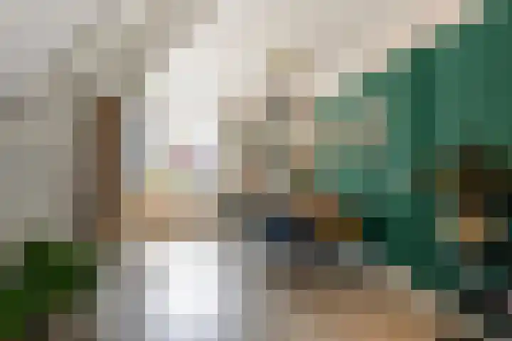 Emmastraat 4 De Lier thumbnail 8
