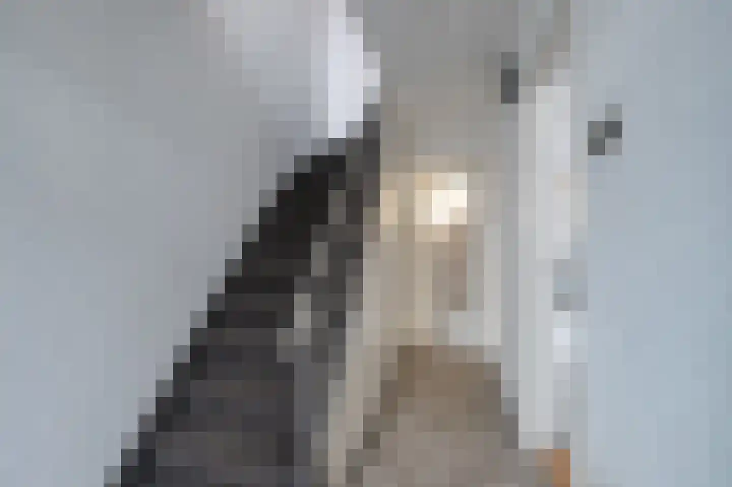 Emmastraat 4 Landgraaf thumbnail 4