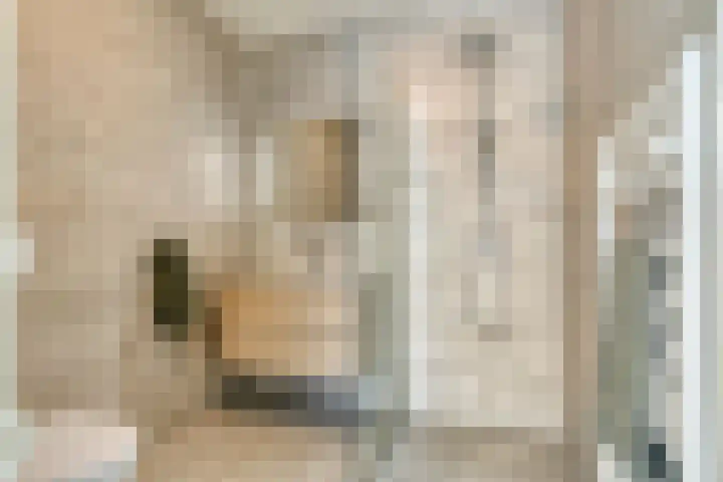 Emmastraat 4 Linne thumbnail 13