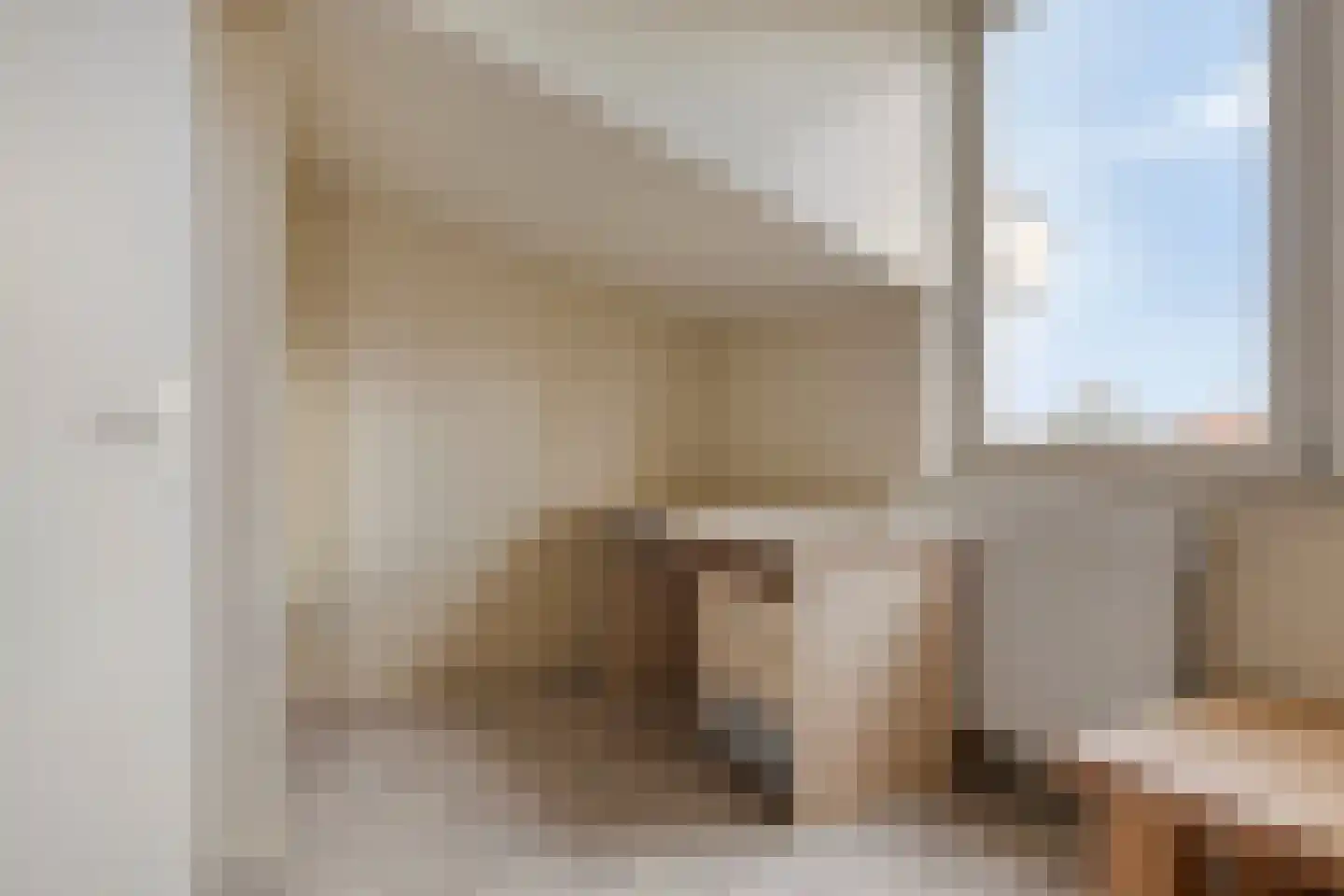 Emmastraat 4 Linne thumbnail 18