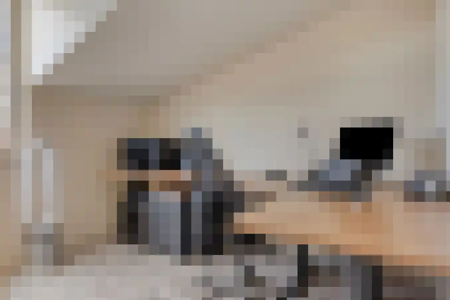 Emmastraat 4 Linne thumbnail 20