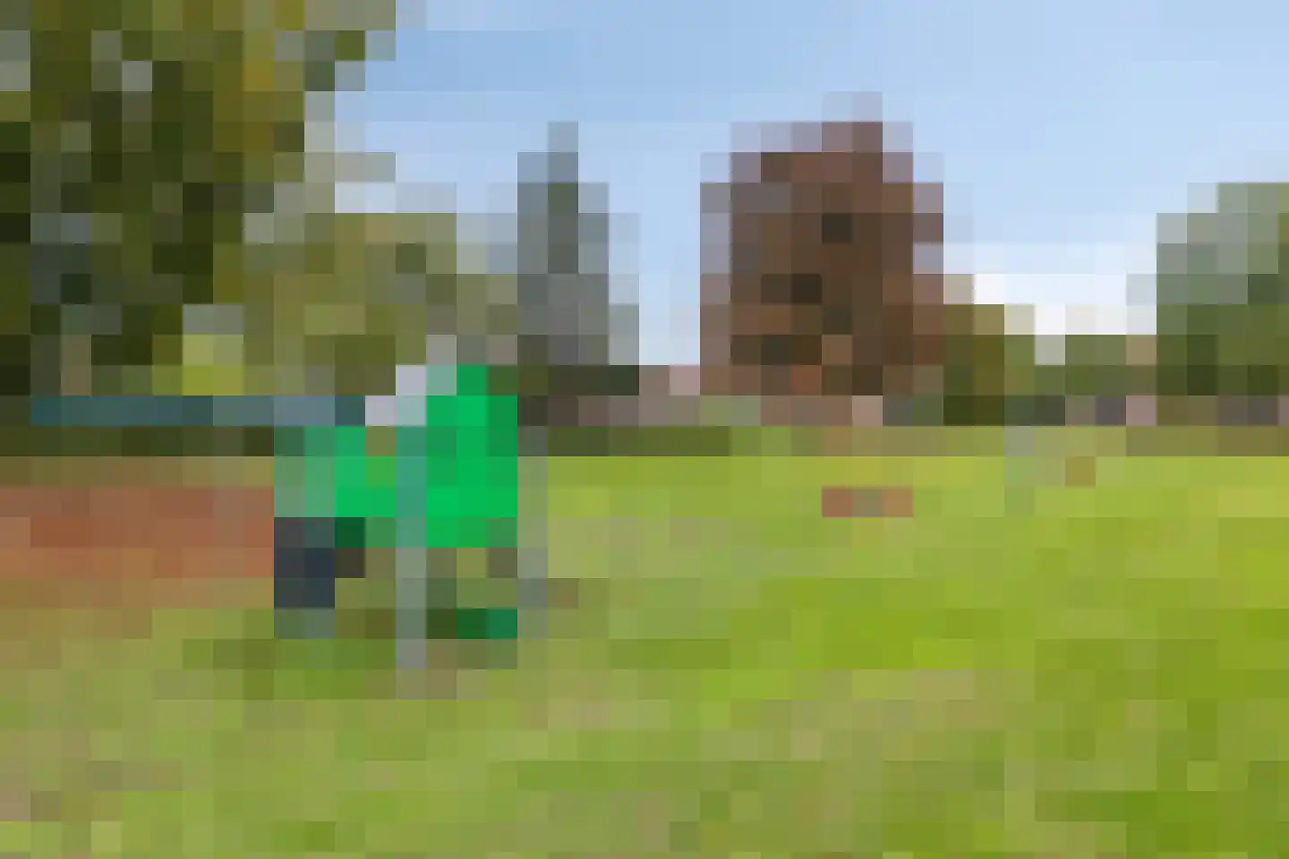 Emmastraat 4 Linne thumbnail 29