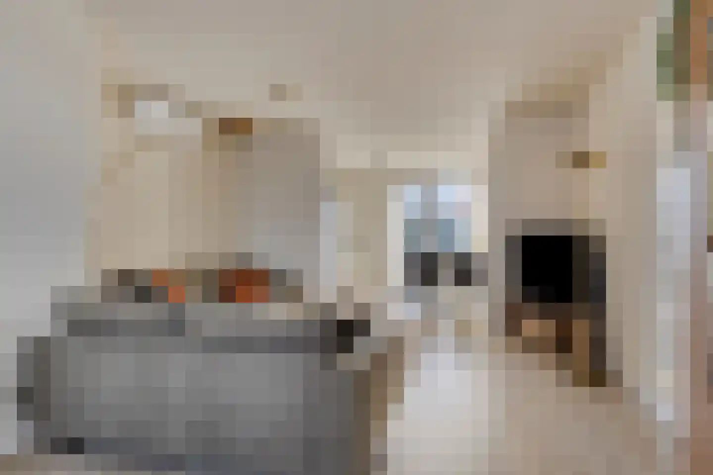 Emmastraat 4 Linne thumbnail 5