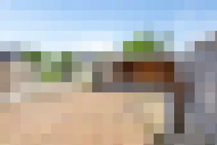 Emmastraat 4 Numansdorp thumbnail 24