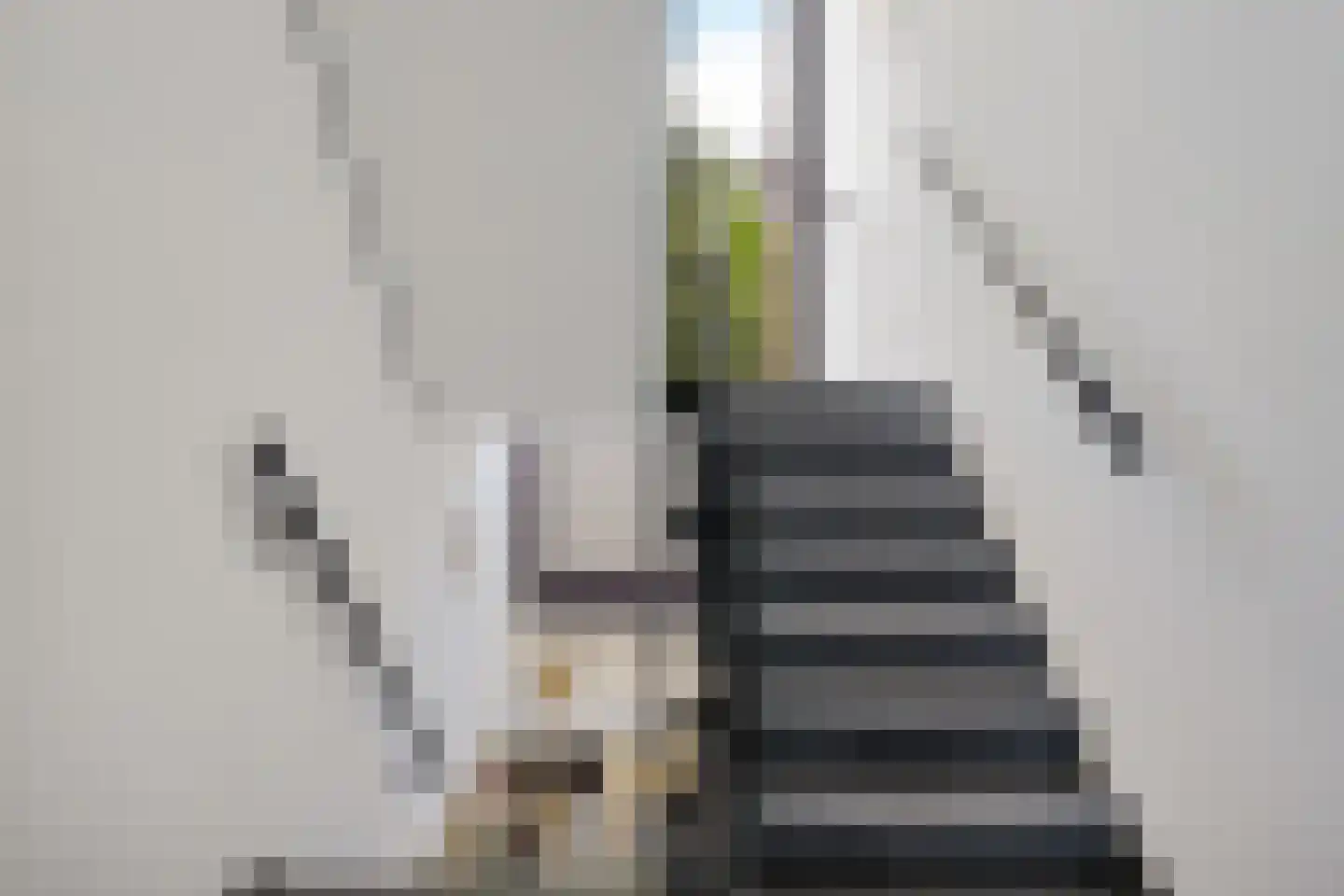 Emmastraat 40 Sneek thumbnail 28