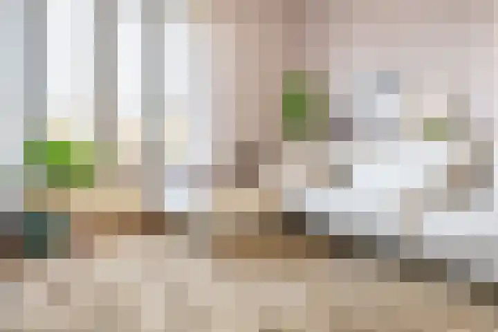 Emmastraat 41 2 Arnhem thumbnail 7