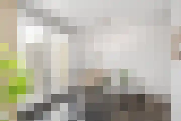 Emmastraat 41 b Roosendaal thumbnail 8