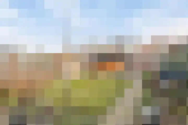 Emmastraat 41 Borne thumbnail 27