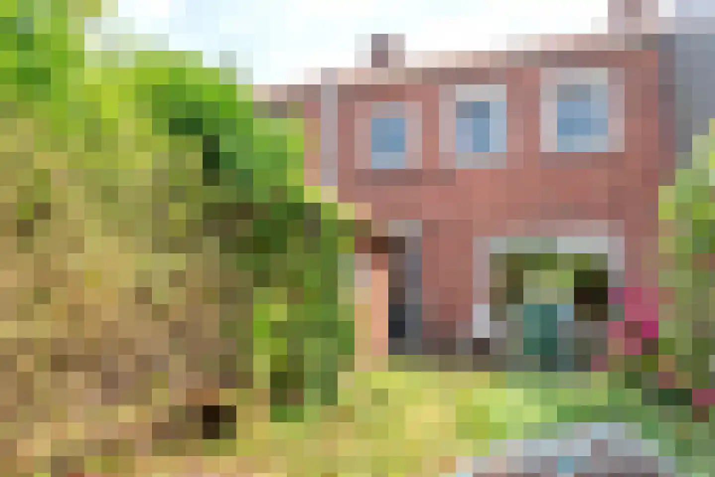 Emmastraat 41 Steenbergen thumbnail 17