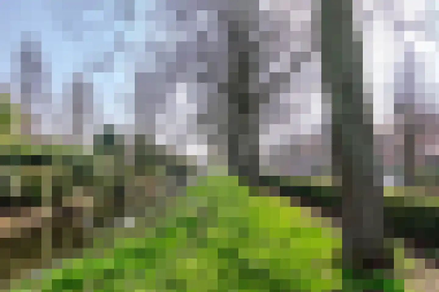 Emmastraat 41 Steenbergen thumbnail 21