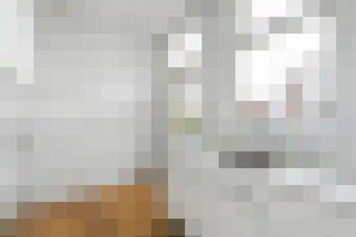 Emmastraat 41 Voorburg thumbnail 6