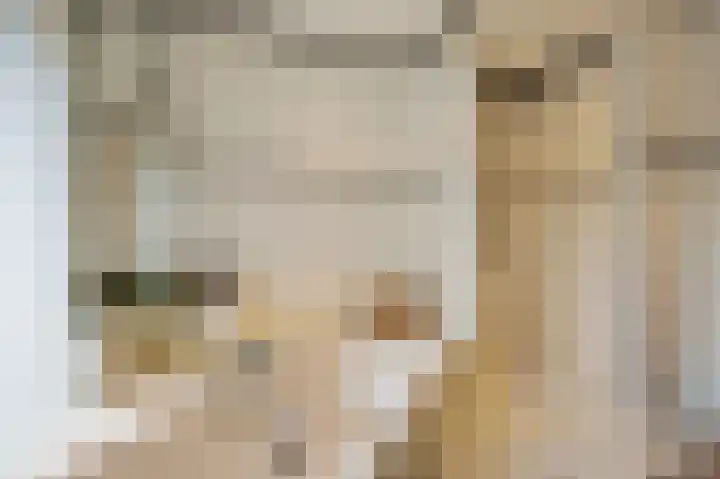 Emmastraat 42 Echt thumbnail 36