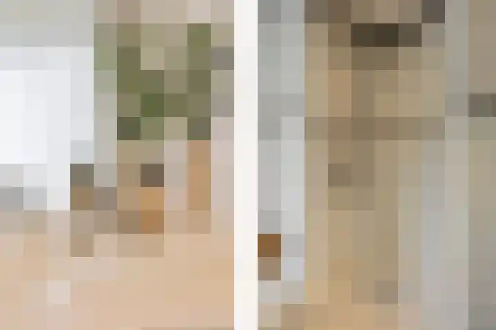 Emmastraat 42 Echt thumbnail 38