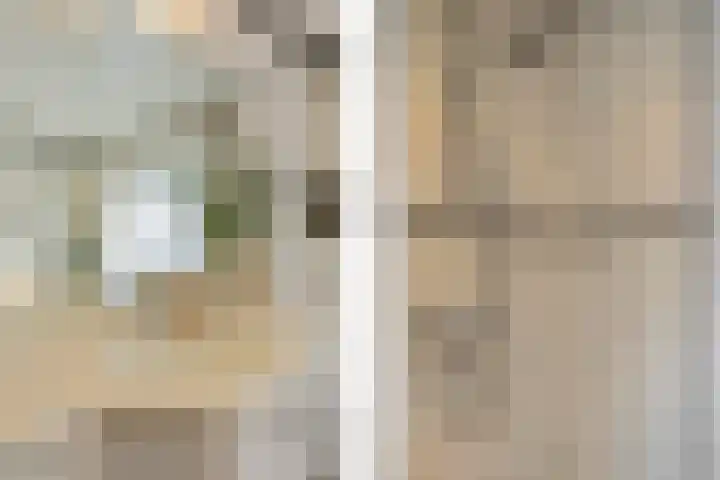 Emmastraat 42 Echt thumbnail 39