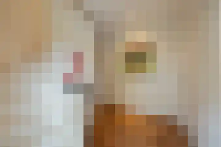 Emmastraat 42 Echt thumbnail 8