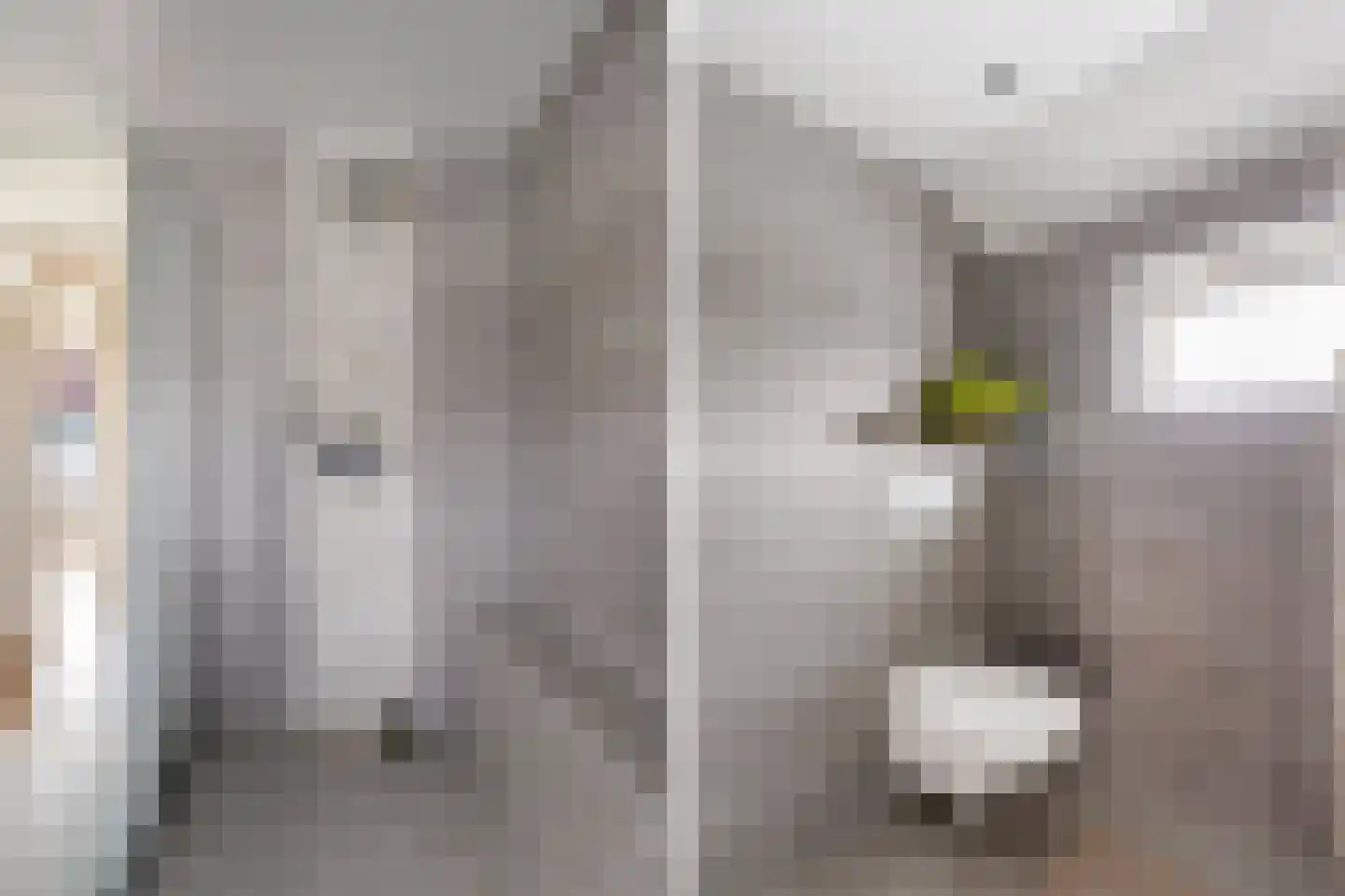 Emmastraat 44 Lekkerkerk thumbnail 31