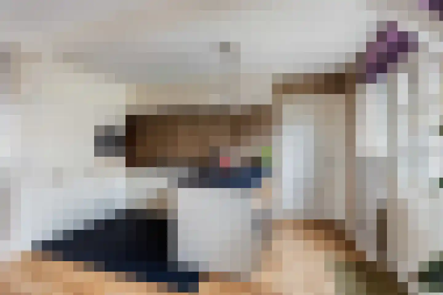 Emmastraat 44 Lekkerkerk thumbnail 4