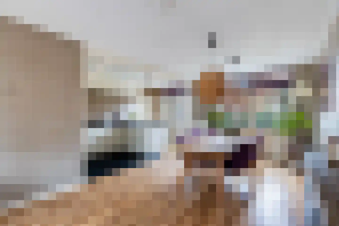 Emmastraat 44 Lekkerkerk thumbnail 9