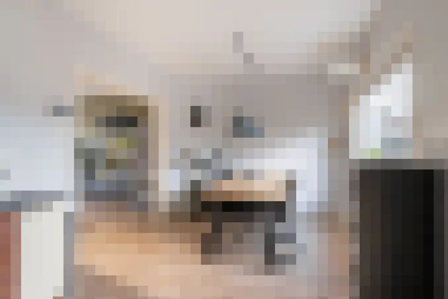 Emmastraat 46 Monster thumbnail 12