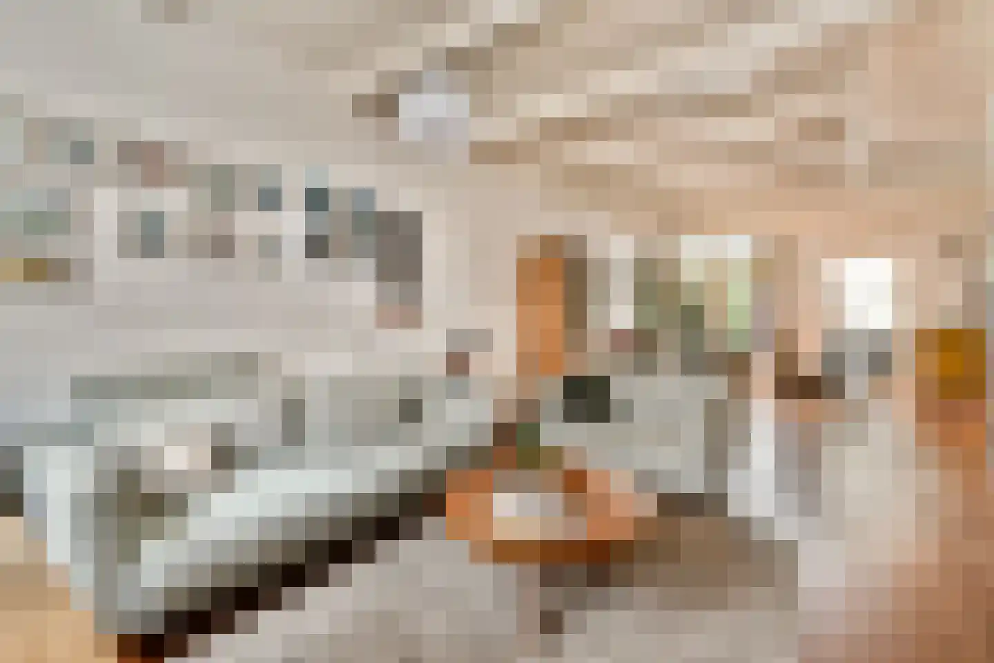 Emmastraat 46 Vlaardingen thumbnail 6