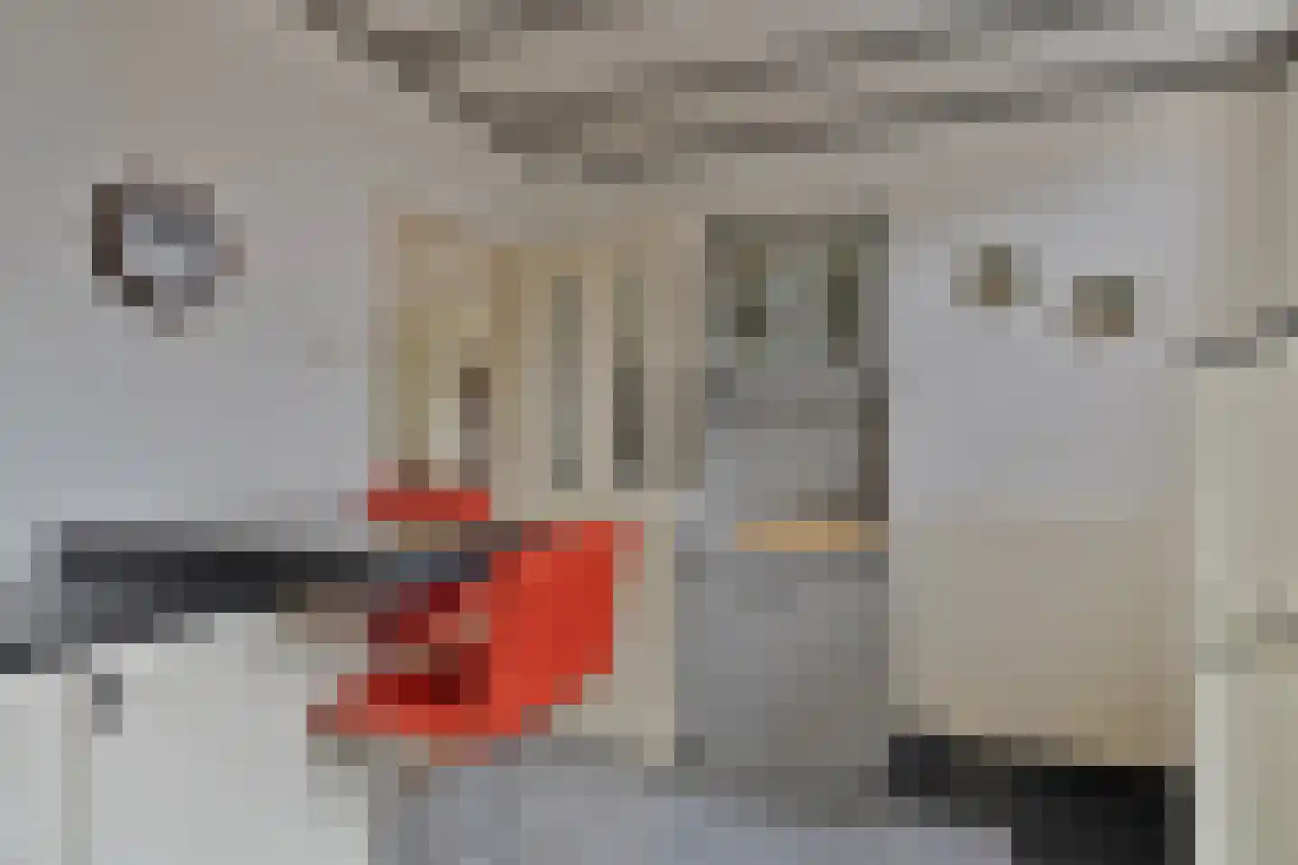 Emmastraat 47 Den Bommel thumbnail 16