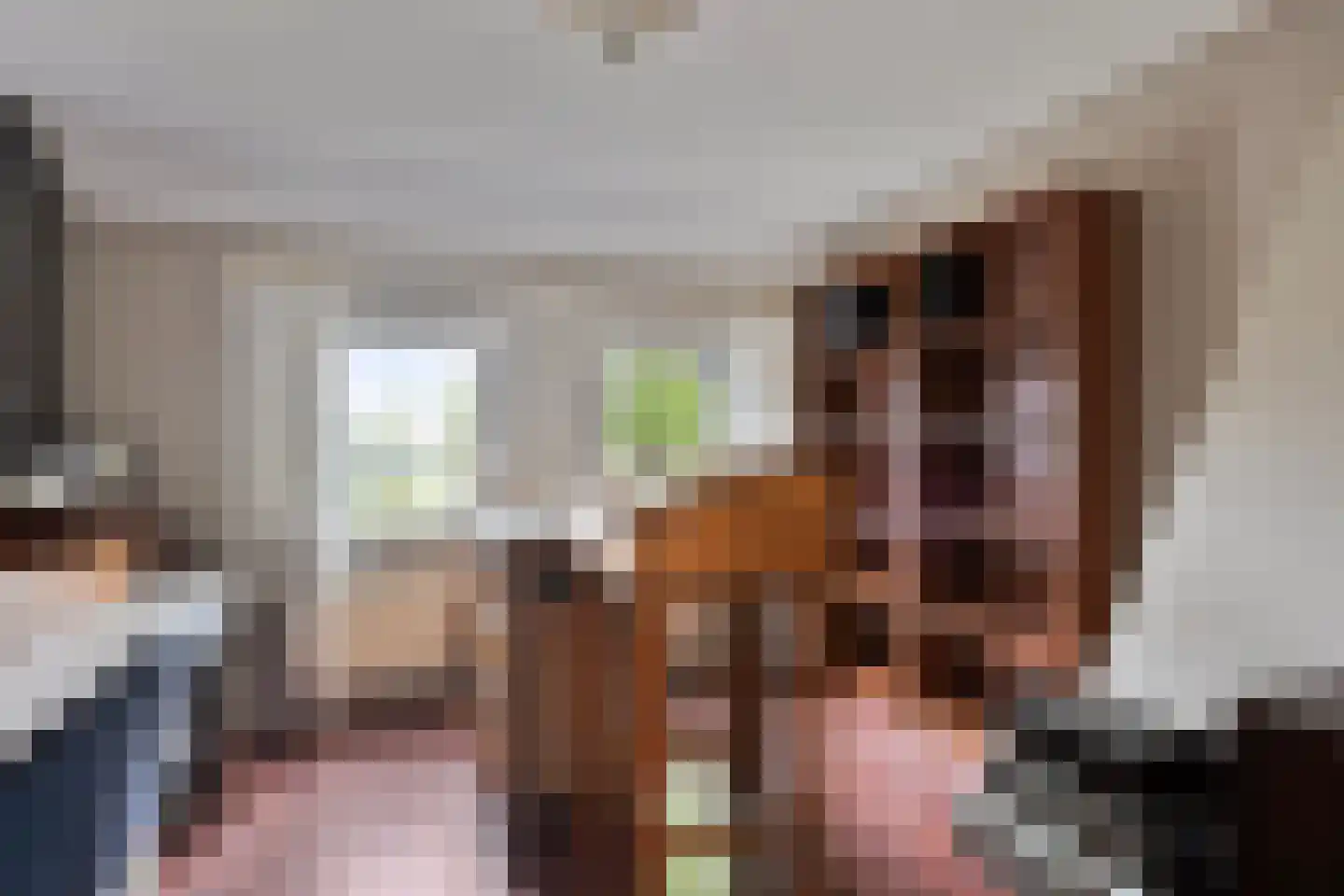 Emmastraat 47 Den Bommel thumbnail 23