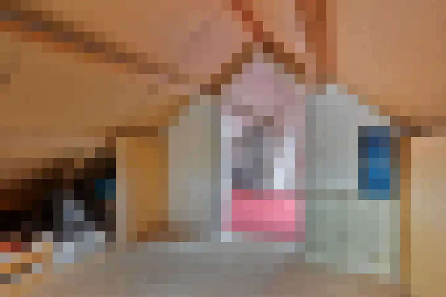 Emmastraat 47 Den Bommel thumbnail 31