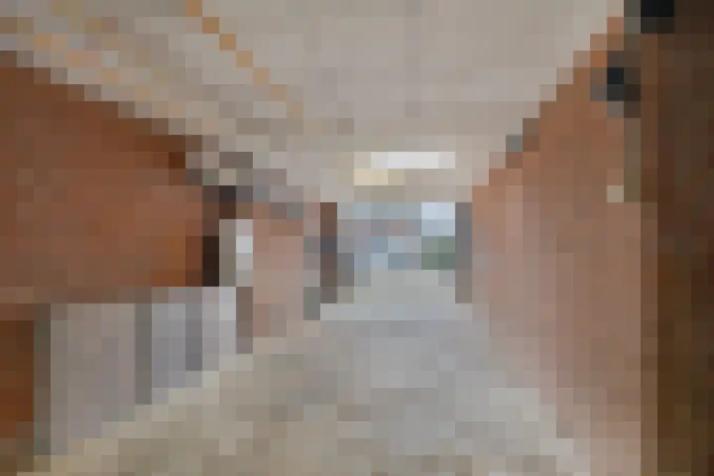 Emmastraat 47 Den Bommel thumbnail 35