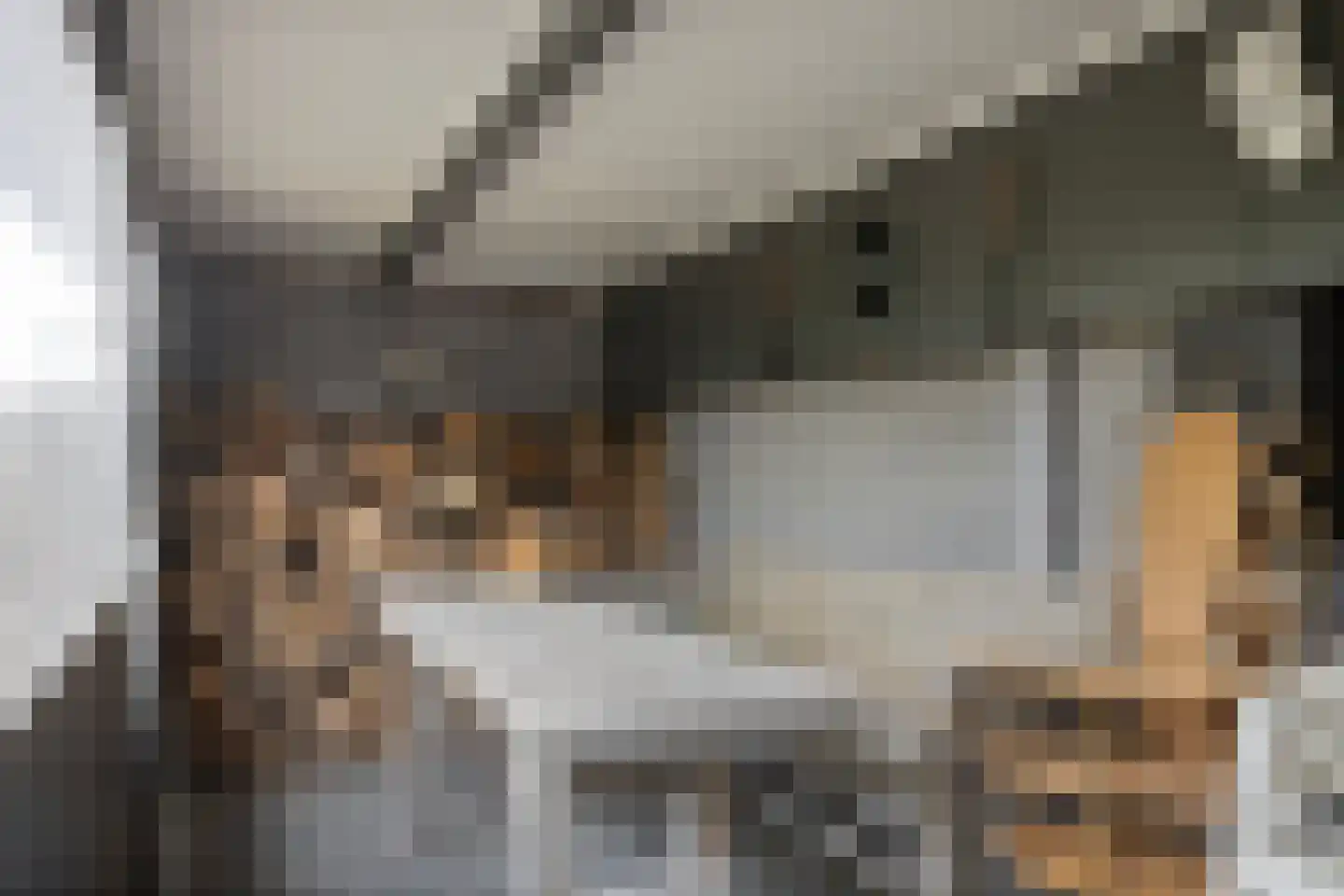 Emmastraat 47 Den Bommel thumbnail 41