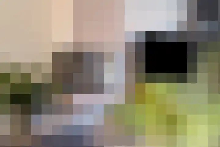 Emmastraat 47 Goirle thumbnail 12