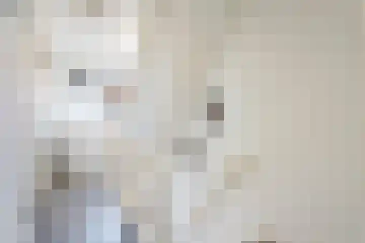 Emmastraat 47 Goirle thumbnail 21