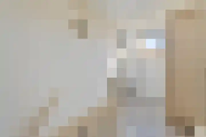 Emmastraat 47 Goirle thumbnail 31
