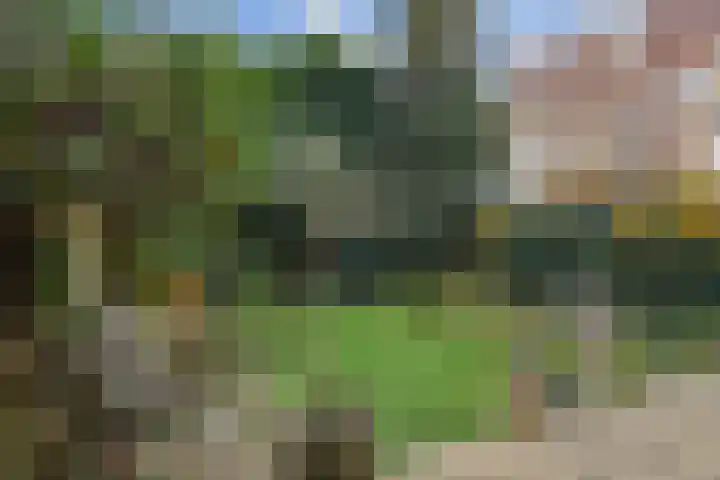 Emmastraat 47 Rijswijk thumbnail 12