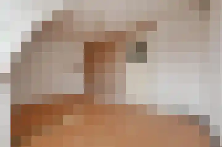 Emmastraat 47 Voorburg thumbnail 25