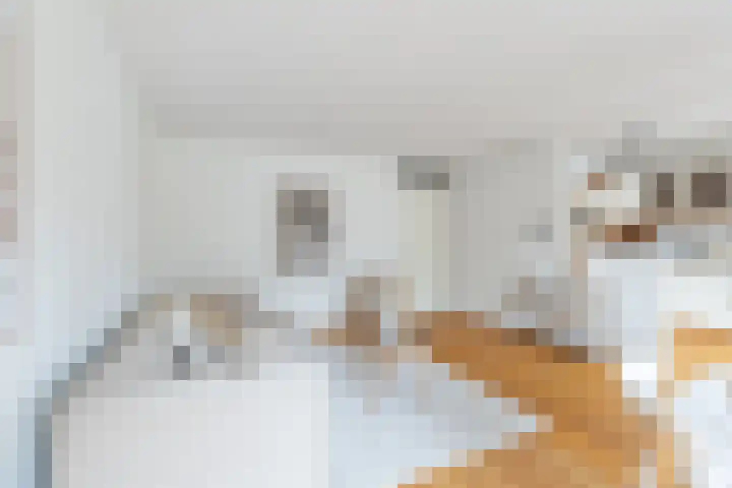 Emmastraat 48 Alkmaar thumbnail 10
