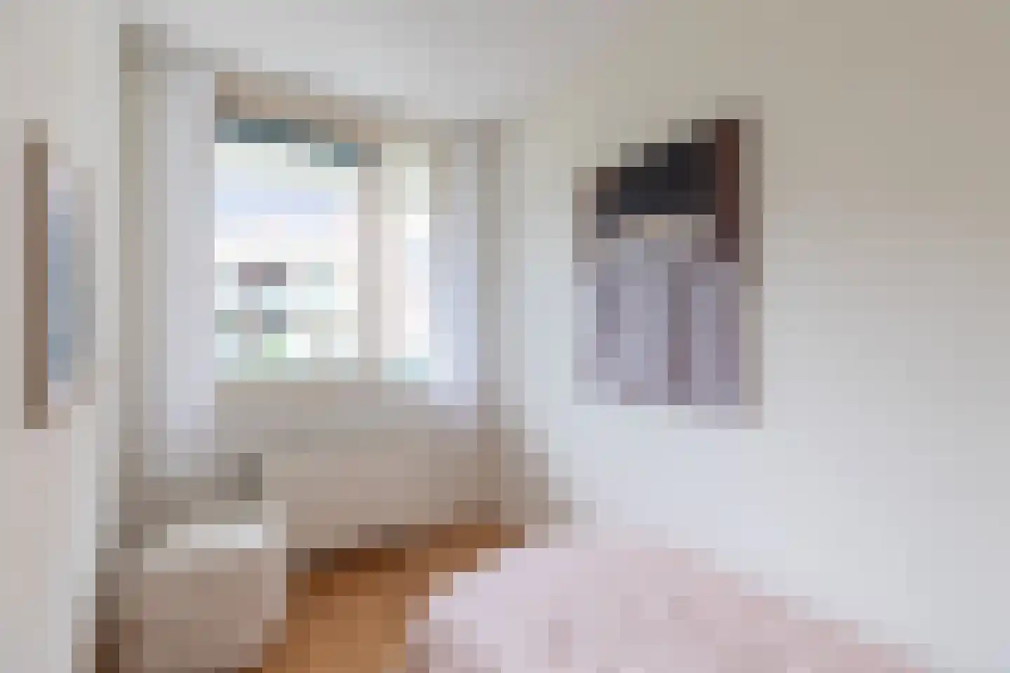 Emmastraat 48 Alkmaar thumbnail 21