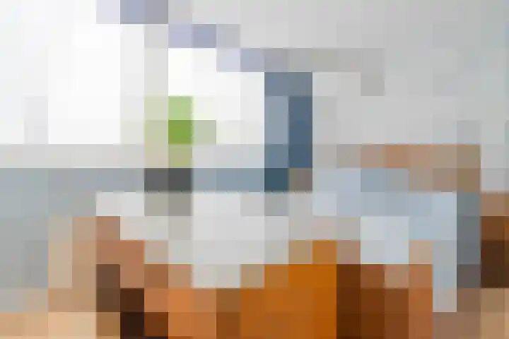 Emmastraat 48 Oude-Tonge thumbnail 24