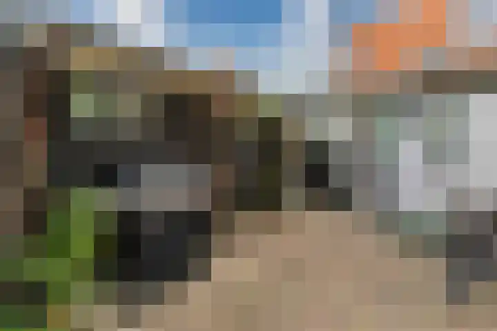 Emmastraat 48 Oude-Tonge thumbnail 31
