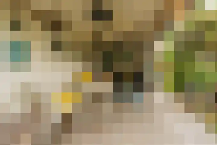 Emmastraat 48 Oude-Tonge thumbnail 36