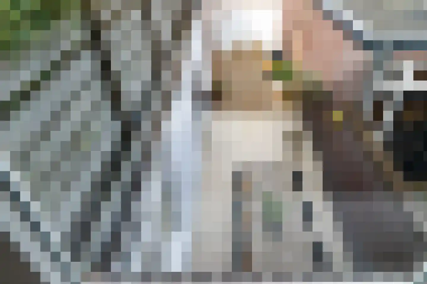 Emmastraat 5 Barneveld thumbnail 30