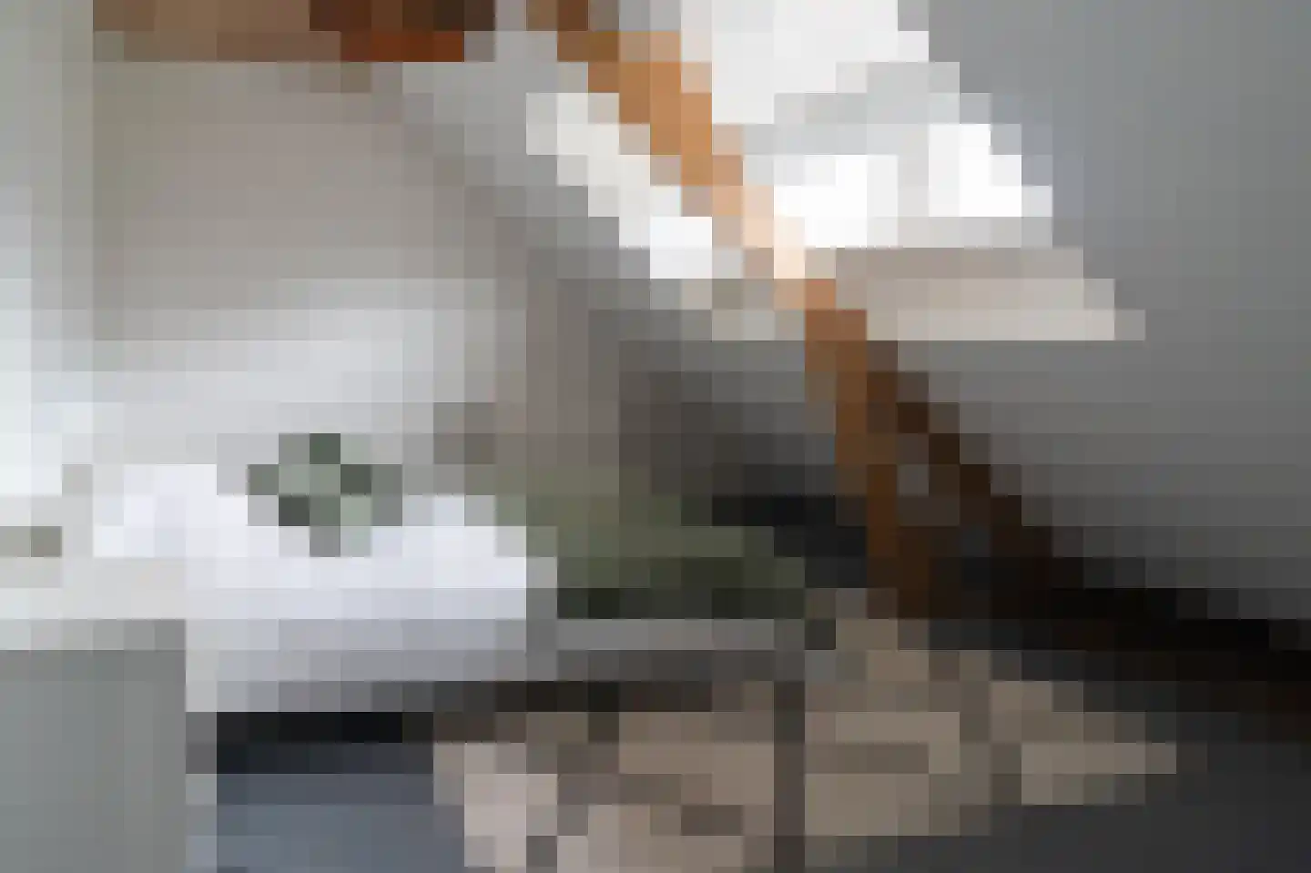 Emmastraat 5 Barneveld thumbnail 45
