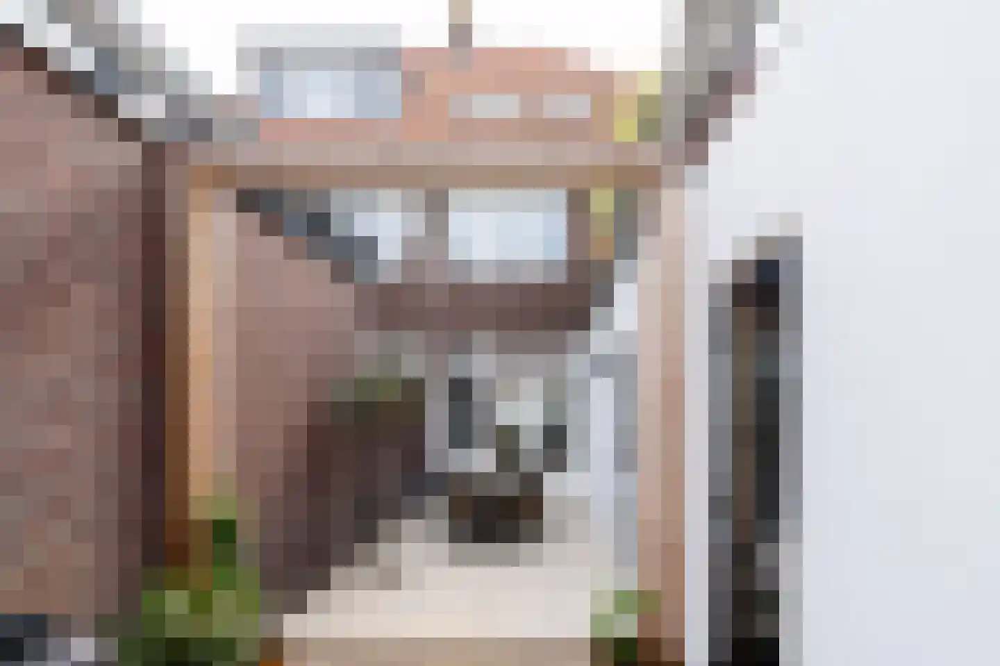 Emmastraat 5 Barneveld thumbnail 48