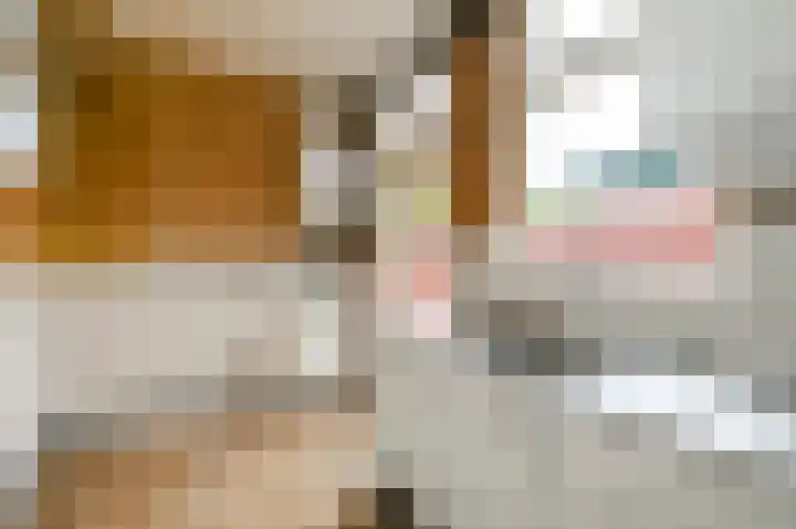 Emmastraat 5 Voorburg thumbnail 9