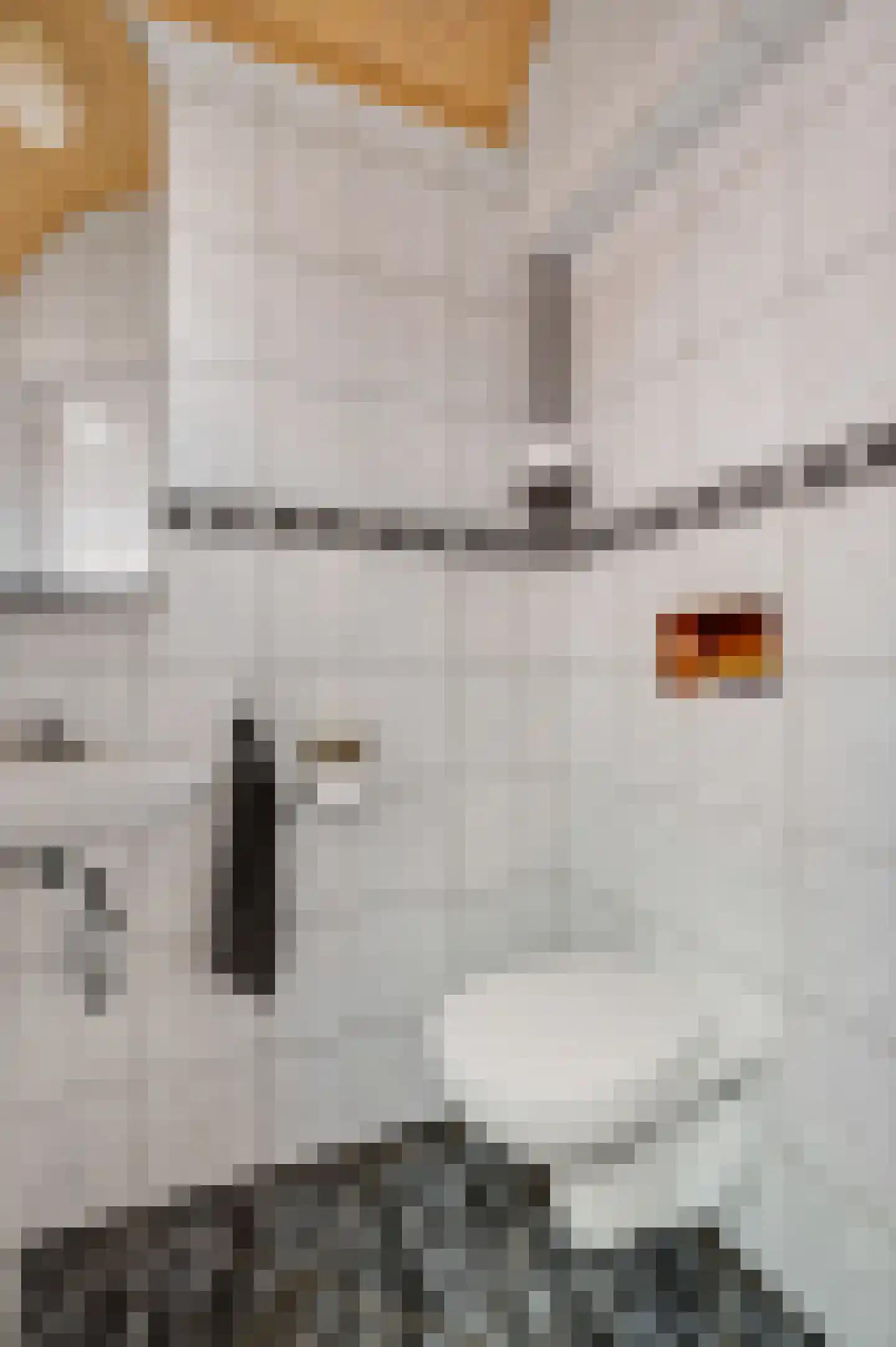 Emmastraat 51 Venlo thumbnail 22