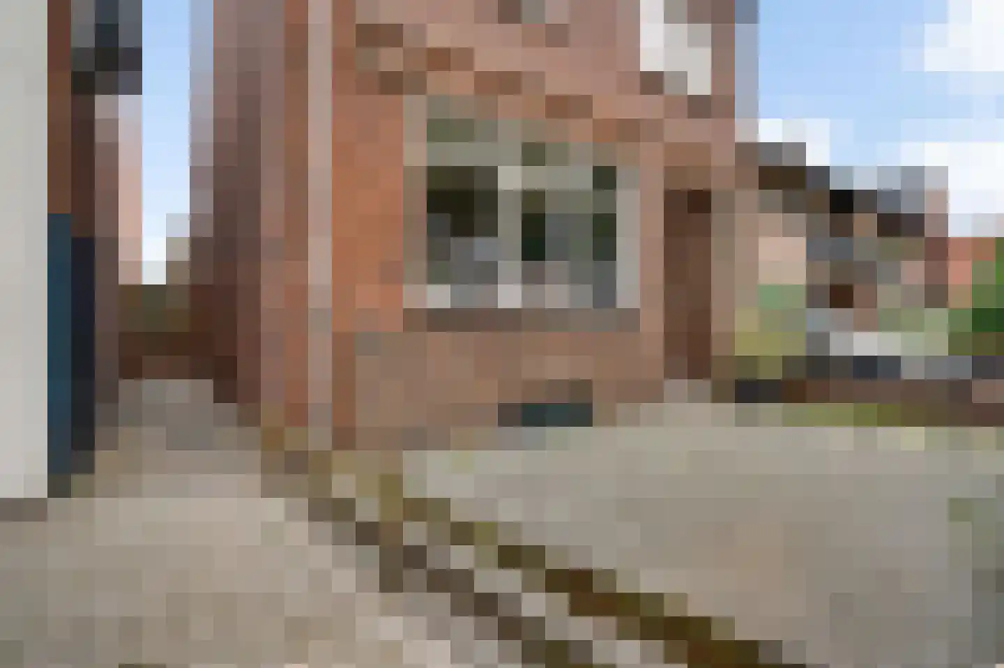 Emmastraat 51 Venlo thumbnail 42